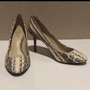 Coach Textured Reptile Print Heels